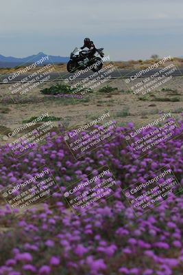 media/Jan-14-2023-SoCal Trackdays (Sat) [[497694156f]]/Turn 14 Exit Bloomig (145pm)/